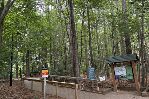 Kids playing on natural wooden climbing features and stepping stones at Hemlock Bluffs.